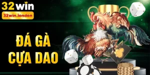 đá gà cựa dao