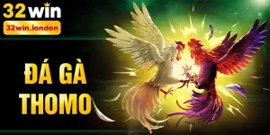 đá gà Thomo