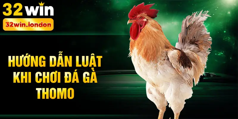 Hướng dẫn luật khi chơi đá gà Thomo